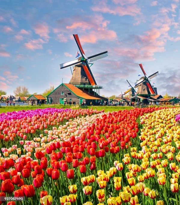 Keukenhof